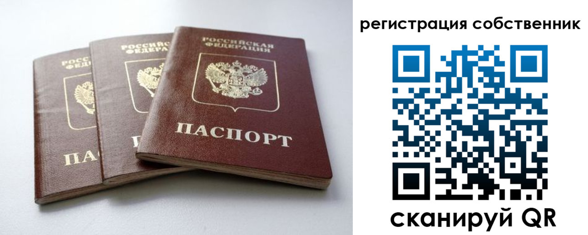 прописка для школы в Белгородской области